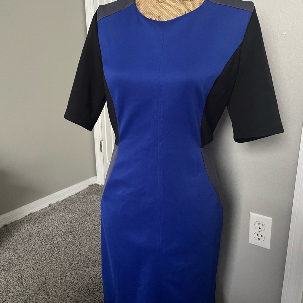 Madison Leigh color block dress
